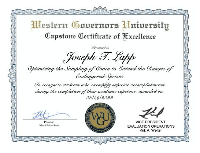 WGU Capstone Excellence Award